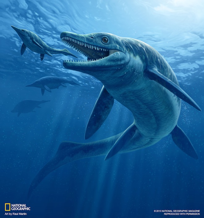 Giant Triassic ichthyosaur
