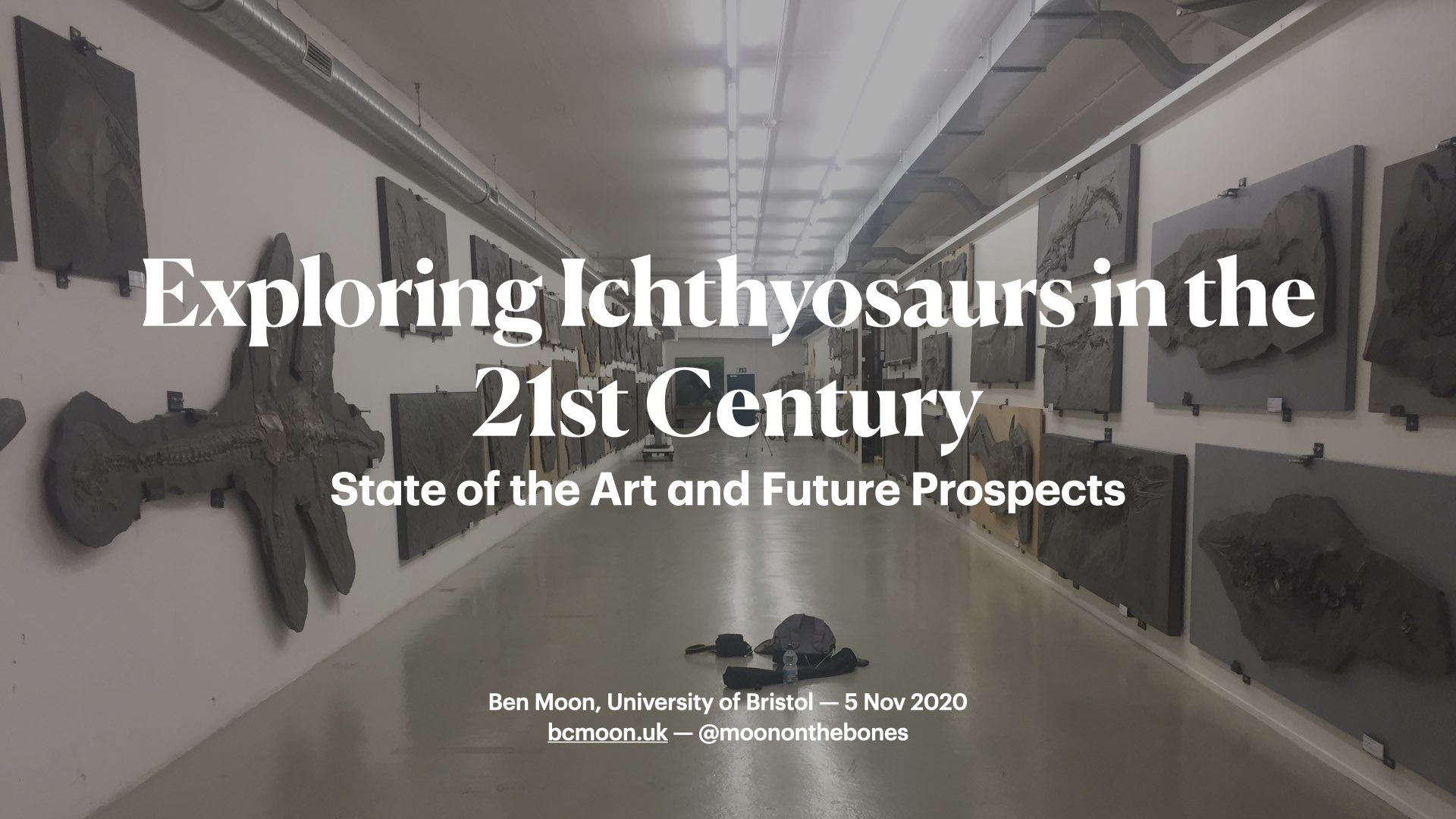 Exploring Ichthyosaurs in the 21st Century