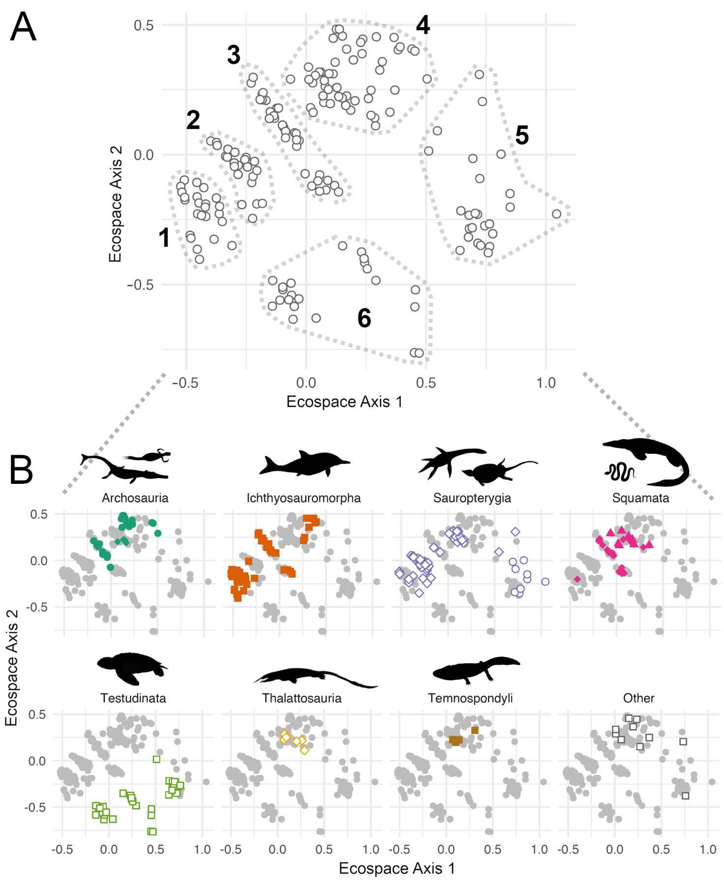 Evolution of ecospace occupancy by Mesozoic marine tetrapods - Ben Moon