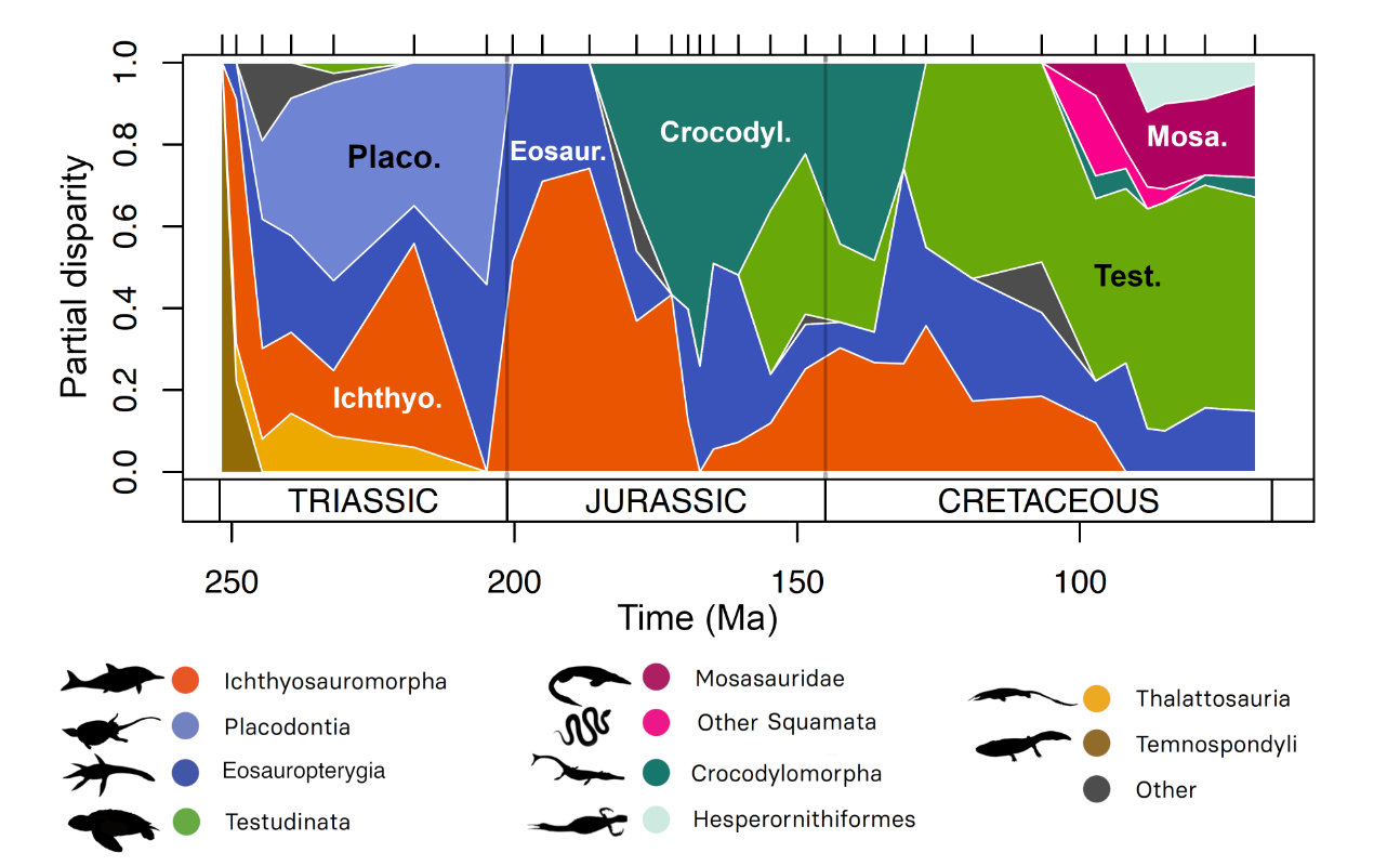 Partial disparity of Mesozoic marine tetrapods