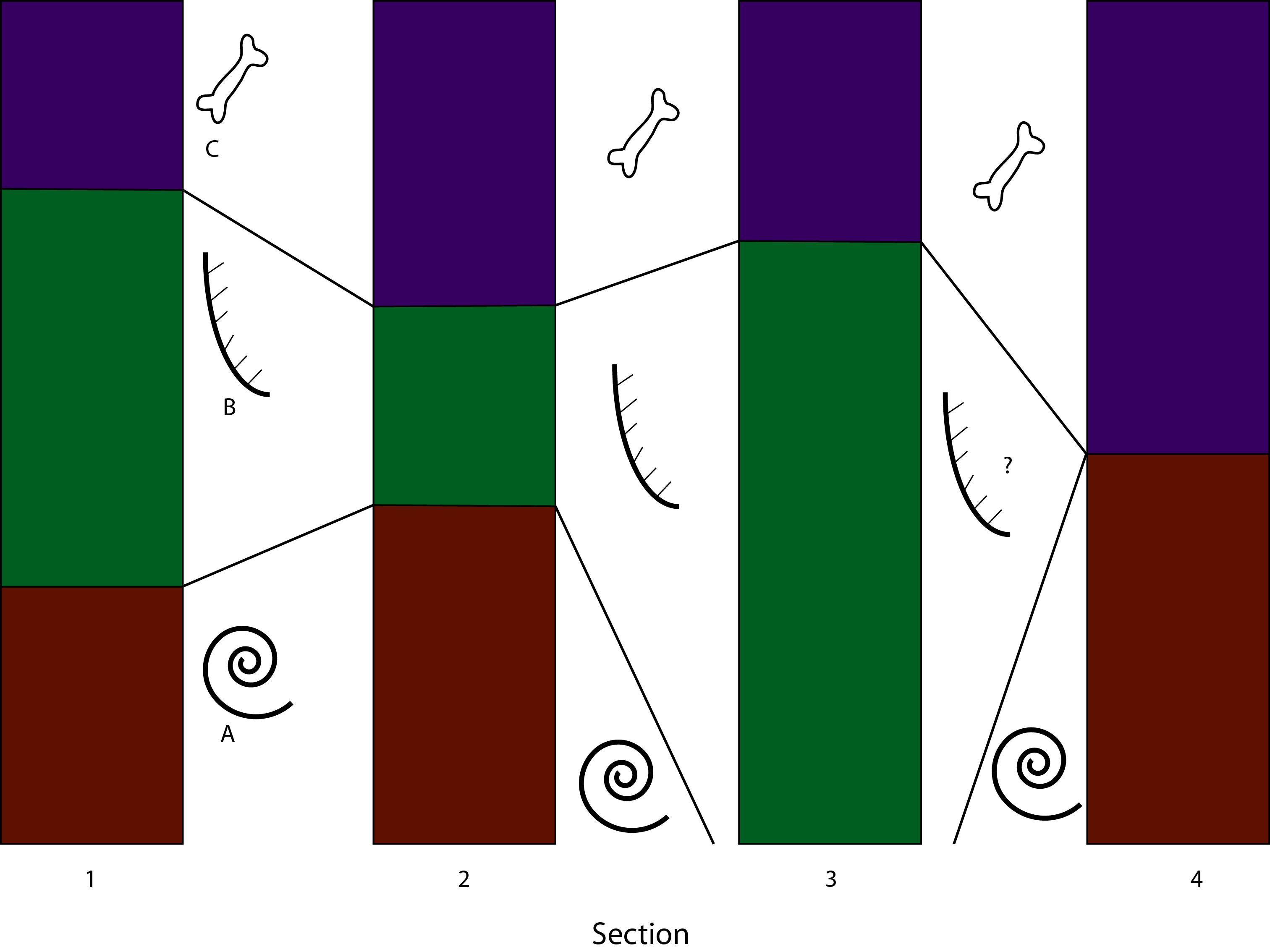 Example of biostratigraphy