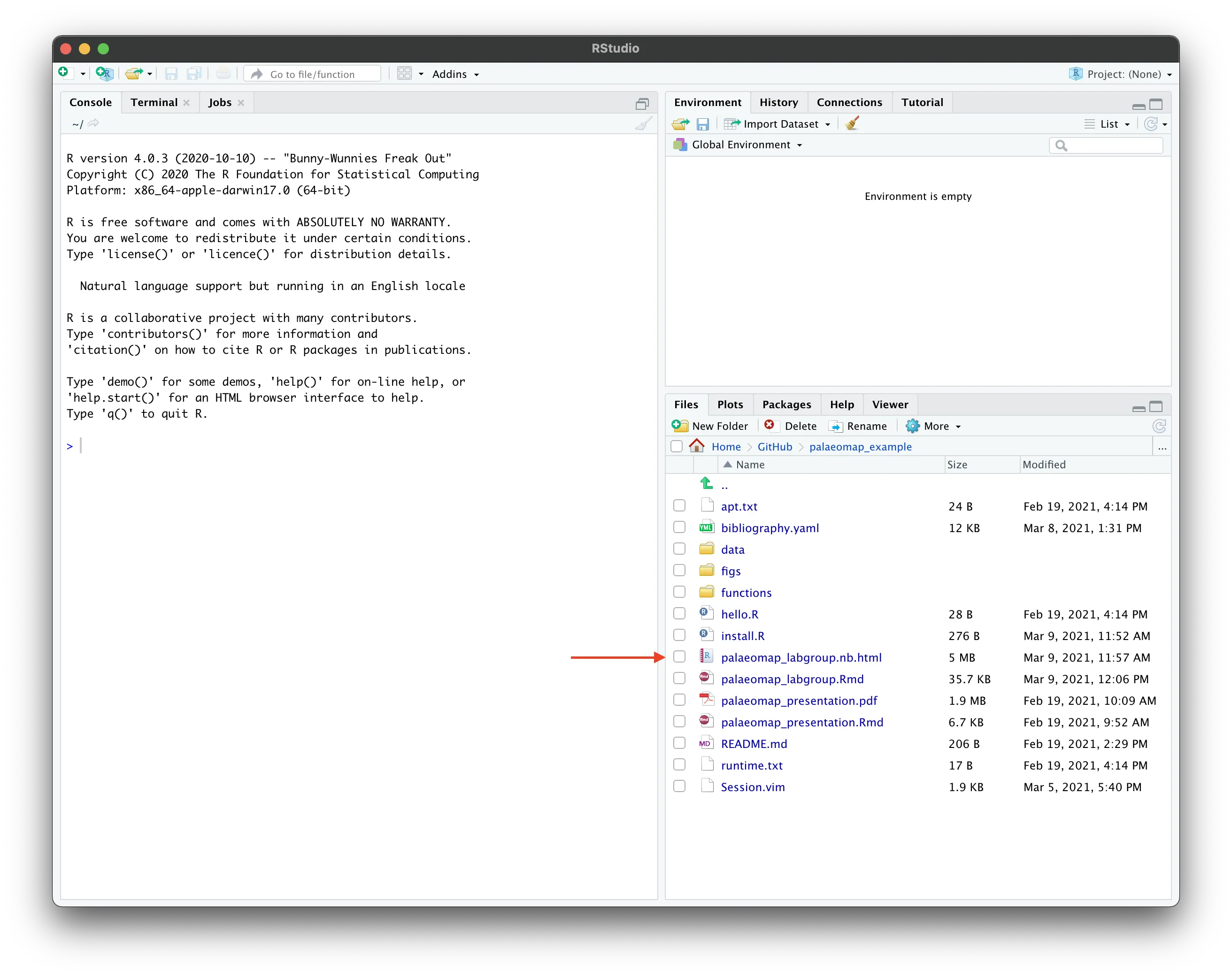 The RStudio interface